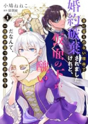 身に覚えのない理由で婚約破棄されましたけれど、仮面の下が醜いだなんて、一体誰が言ったのかしら？（～3巻）